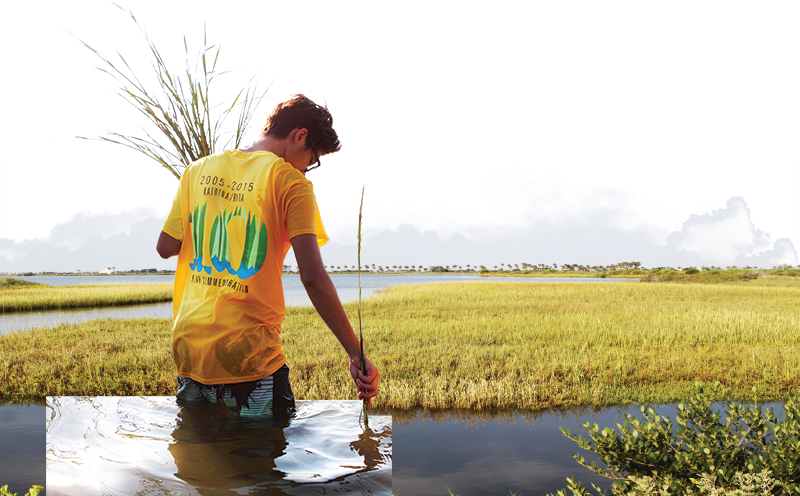 Caring For Our Coast